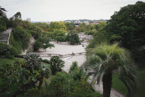 Chirurgien plasticien Nîmes